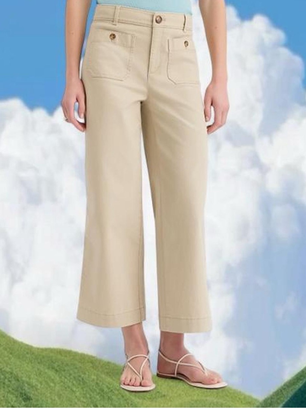 LOFT The Palmer High-Waisted Wide Leg Trouser Cropped Pants